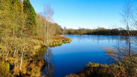 Природа Смоленщины 