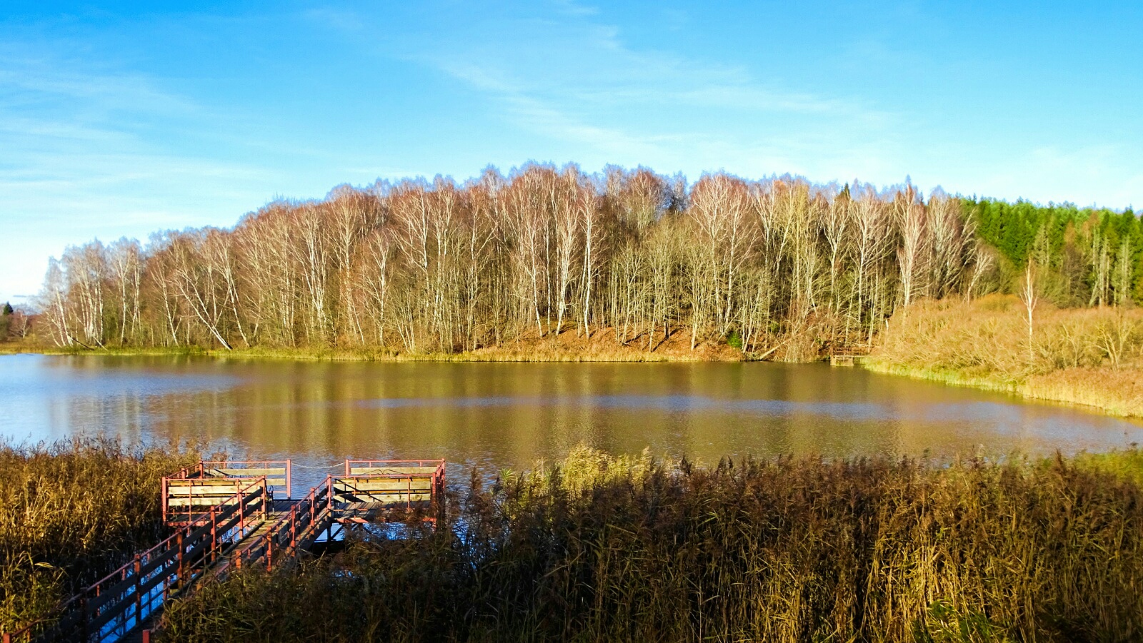 Природа Смоленщины 