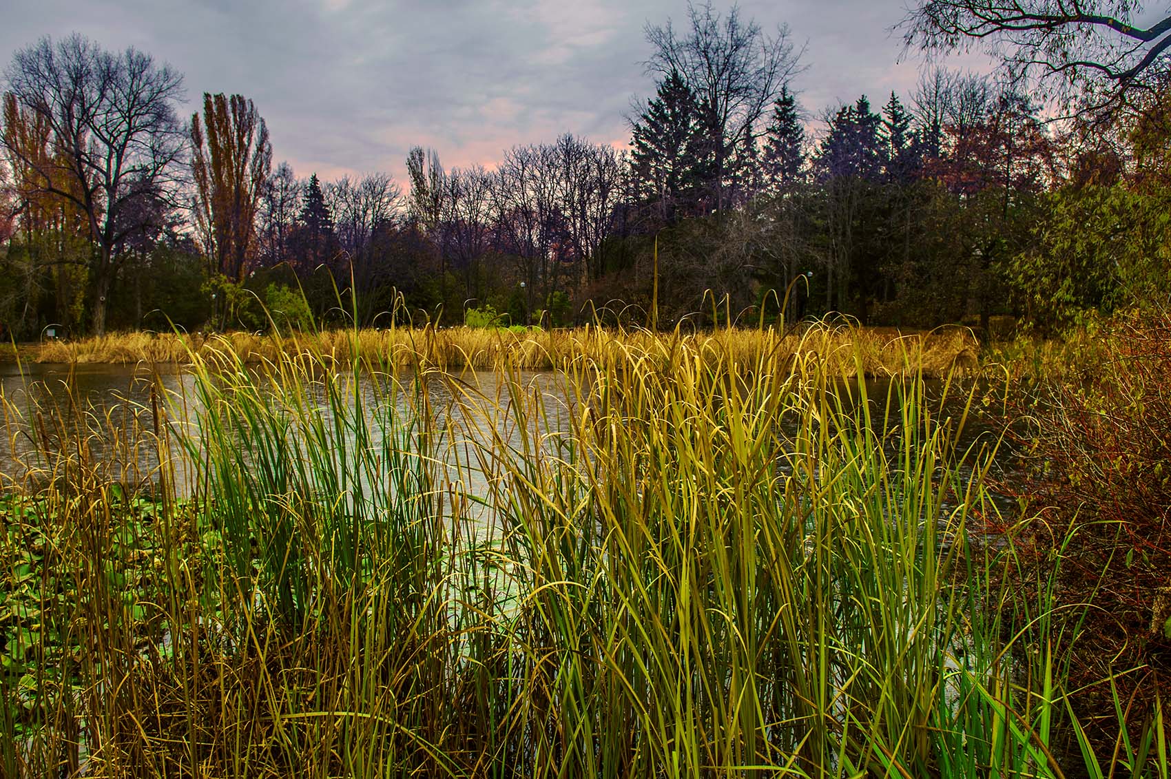 Шумел камыш, деревья гнулись...