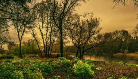 Лесное озеро на закате