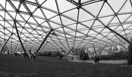 Под куполом Зарядья