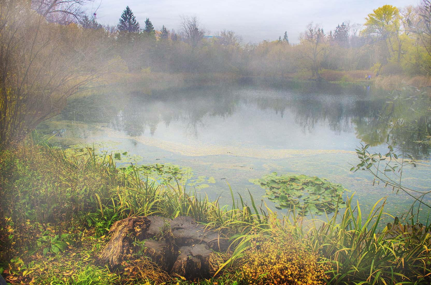 Утро на озере