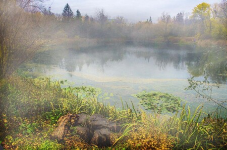 Утро на озере