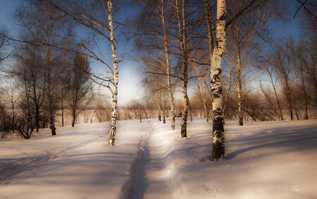 Зимняя тропинка