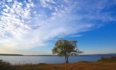 Под небом голубым