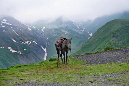 На перевале