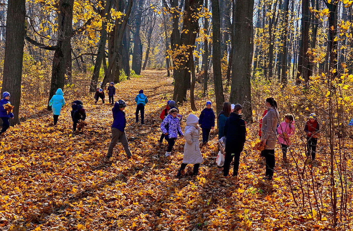 Урок на природе.