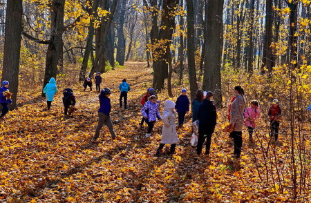 Урок на природе.