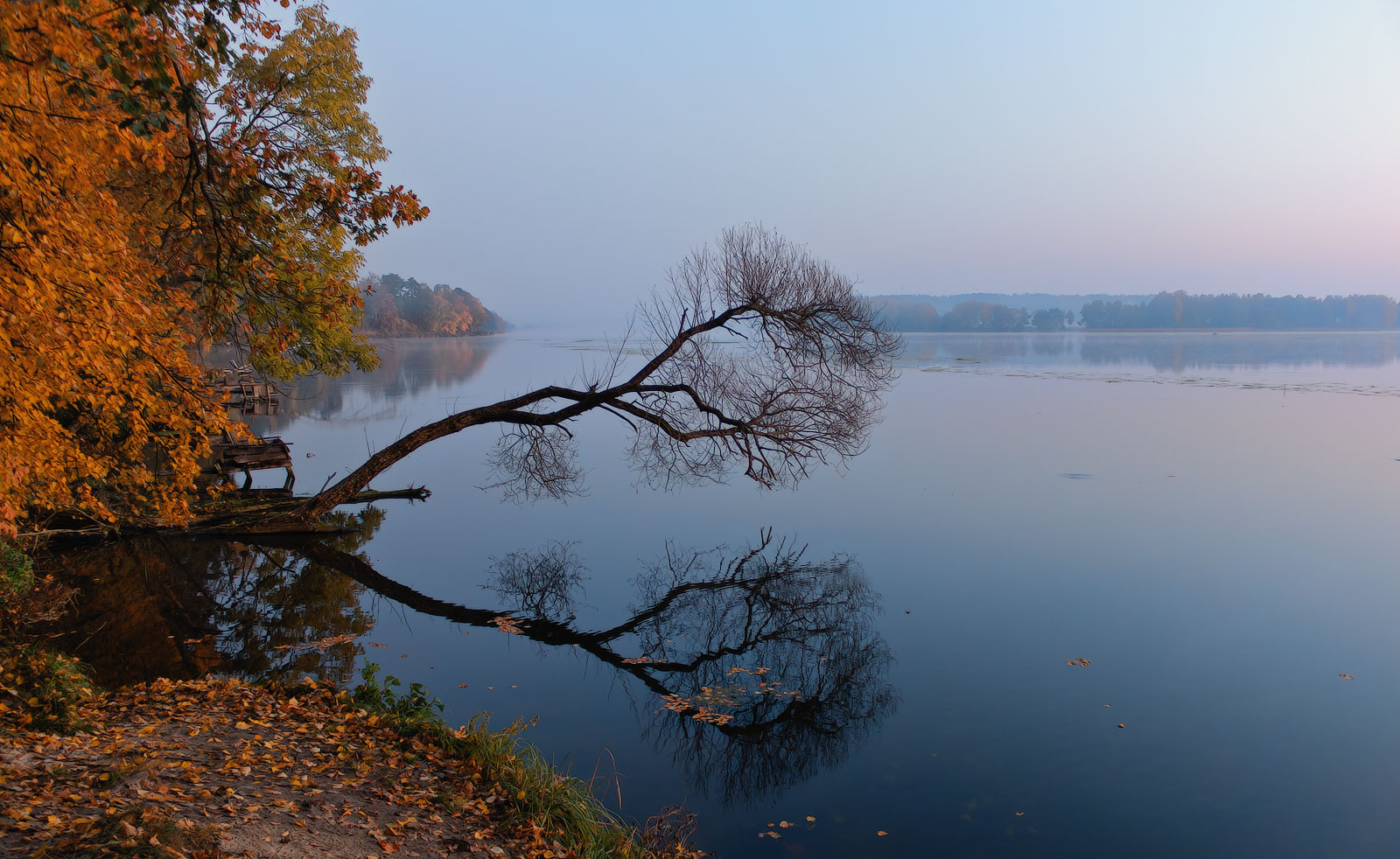 Октябрьское утро