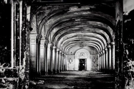 Царские конюшни в центре Санкт-Петербурга. 2025год