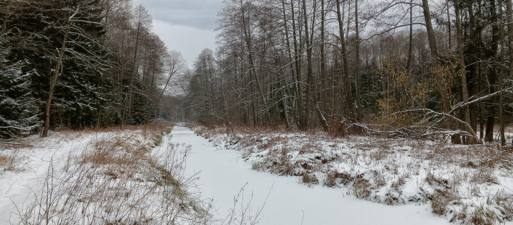 Речка Трубинка