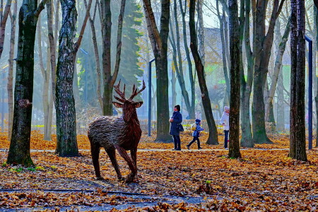 Прогулка в парке.