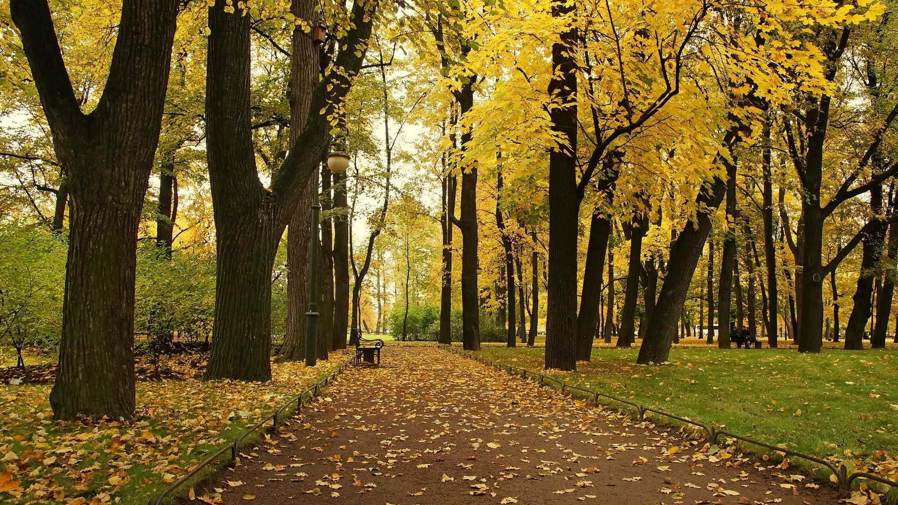 Михайловский сад