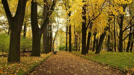 Михайловский сад