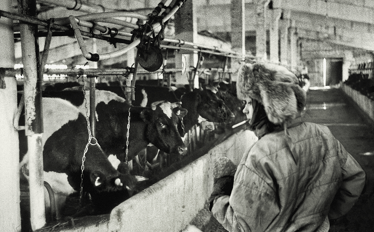 "Эж, не в то ПТУ пошла..."