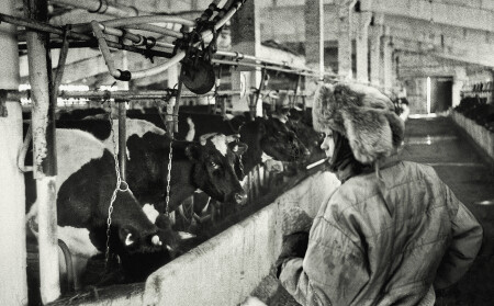 "Эж, не в то ПТУ пошла..."