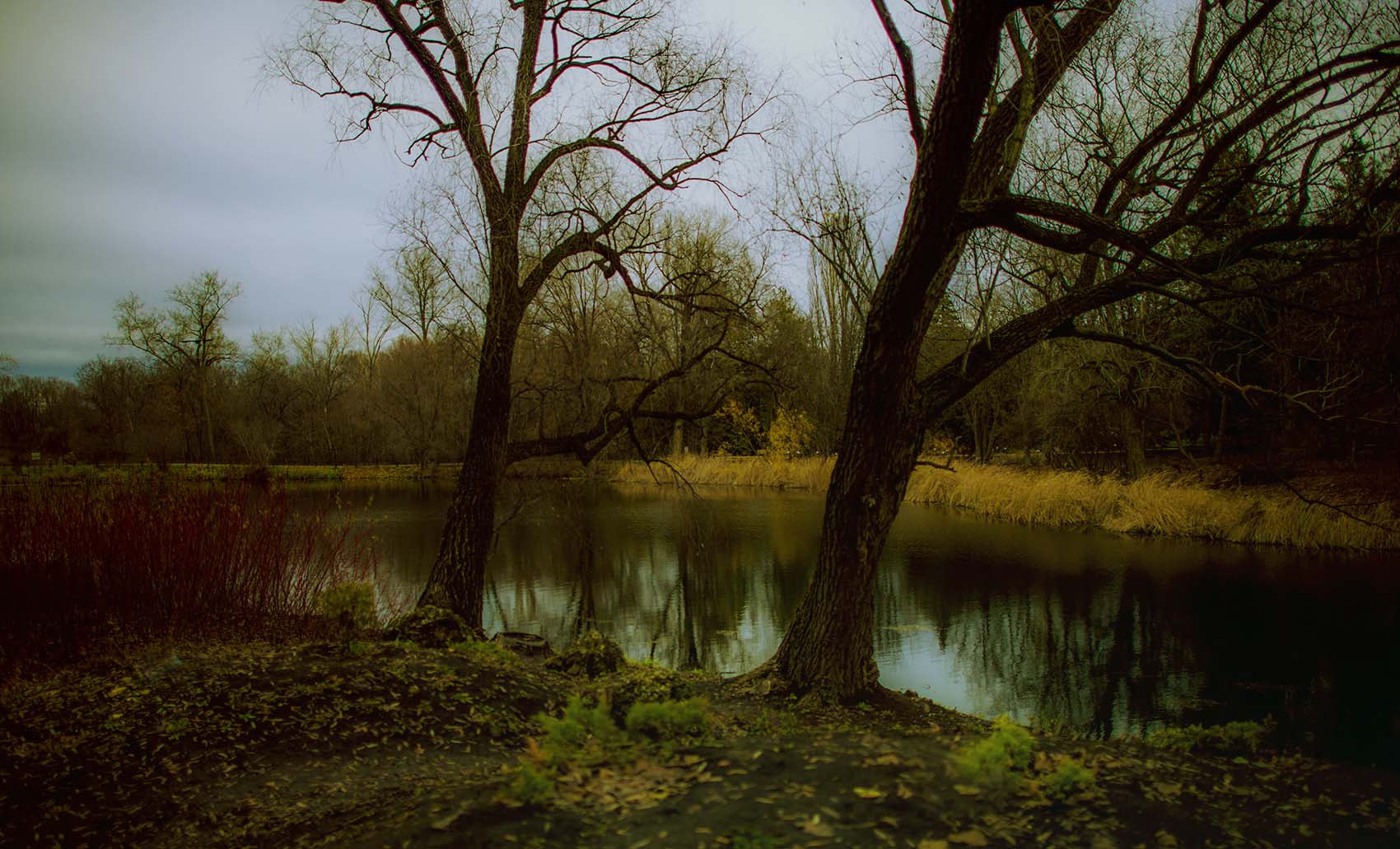 Осеннее озеро