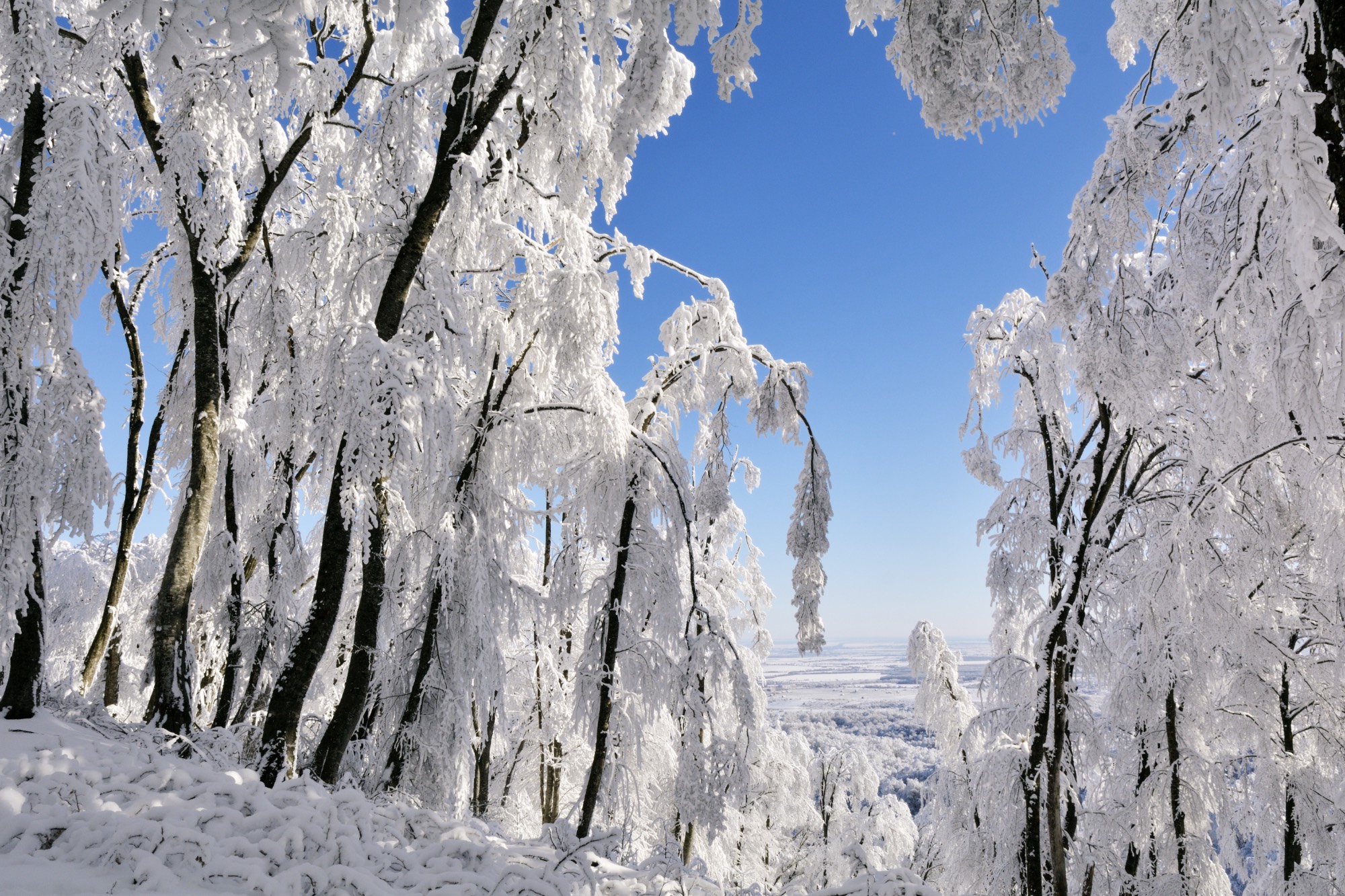 Зимнее утро