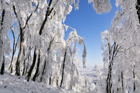 Зимнее утро