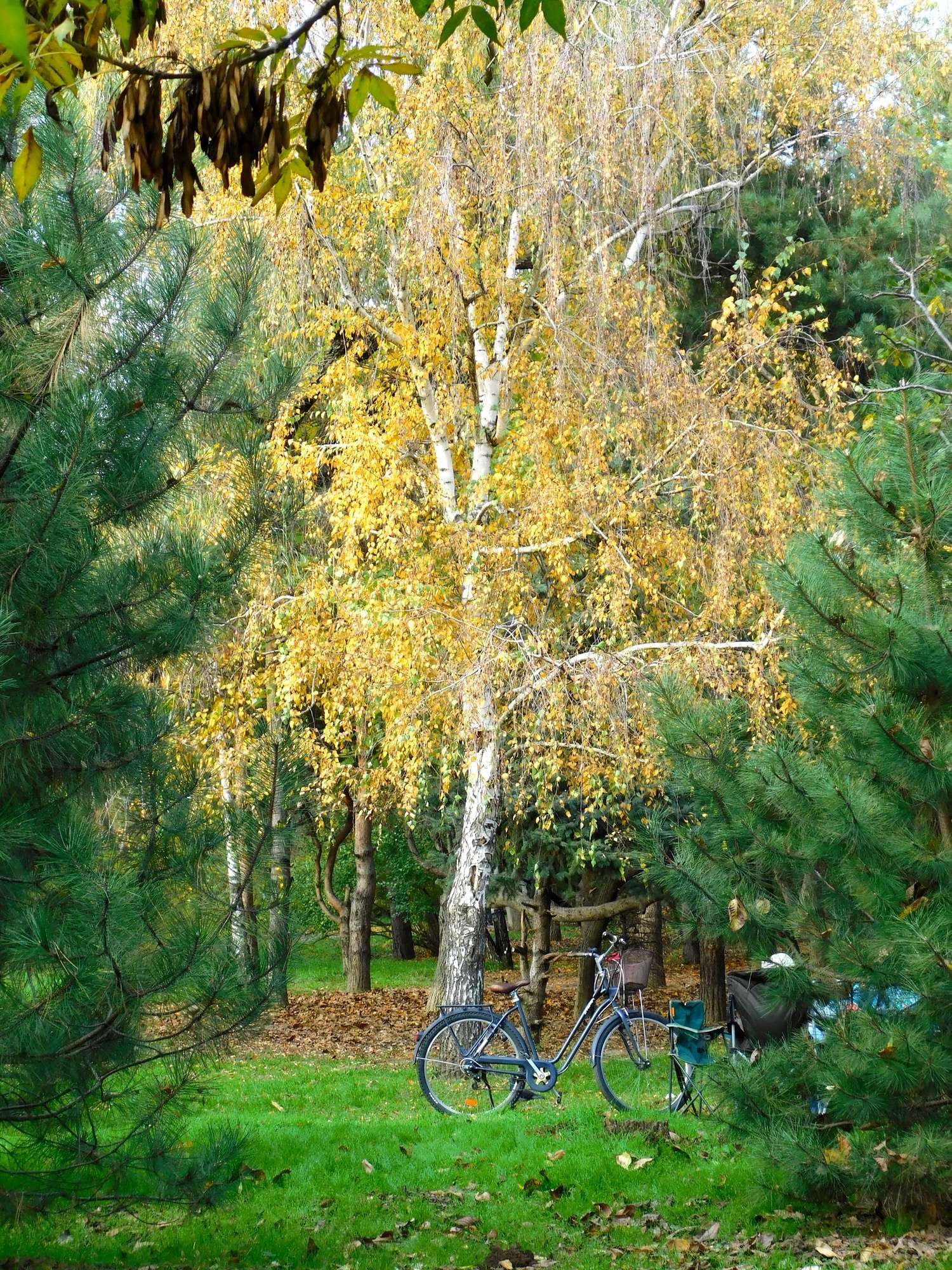 Осенний пейзаж