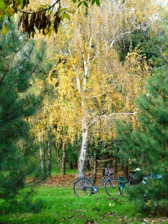 Осенний пейзаж