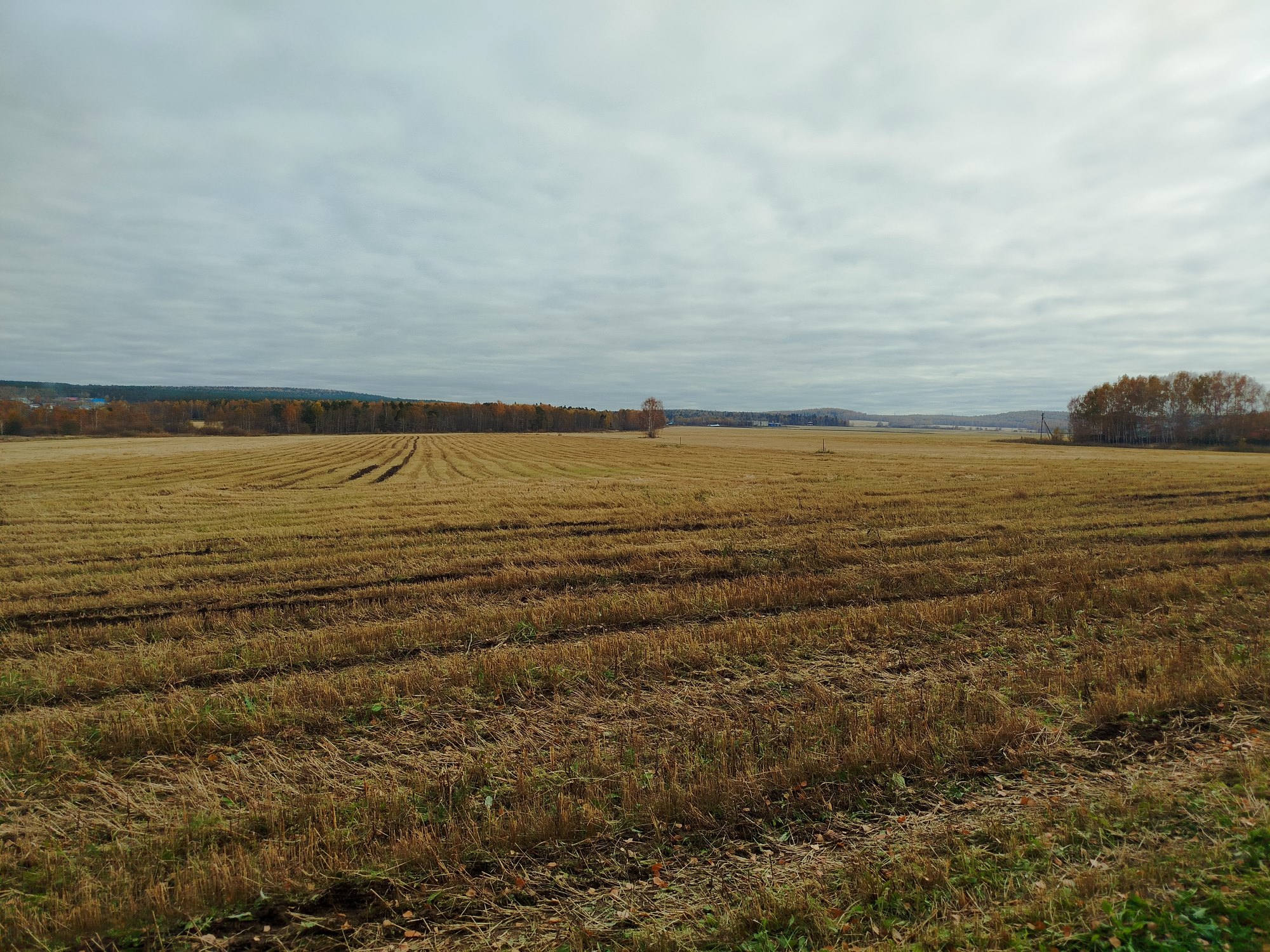 Осеннее поле