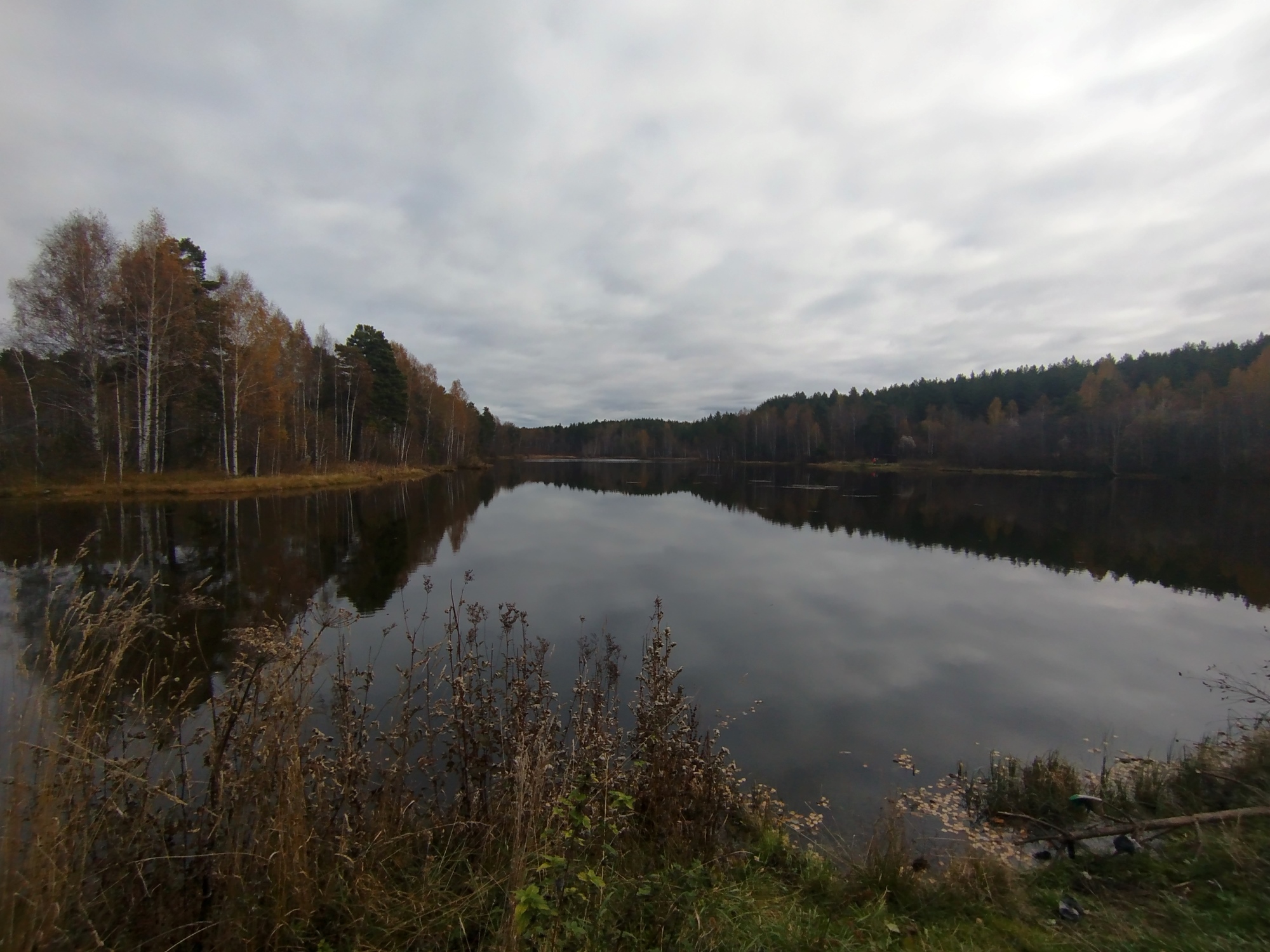 Пасмурный день над водой