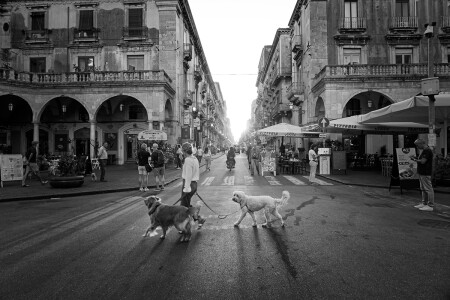 Уличный сюжет