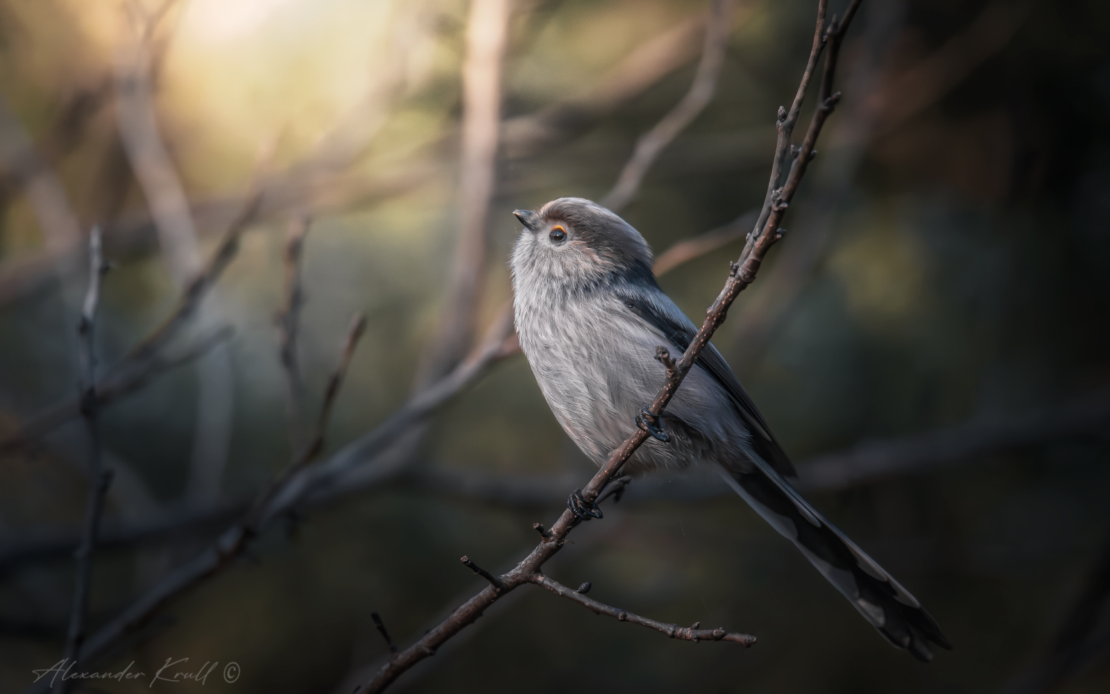 ...и уж зима не за горами