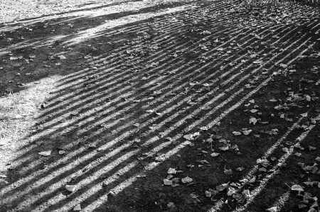 Осенние параллели