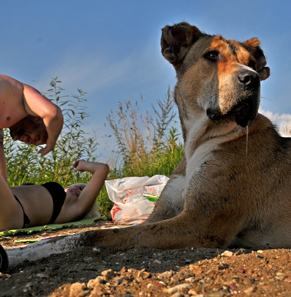 Пляжный демон...