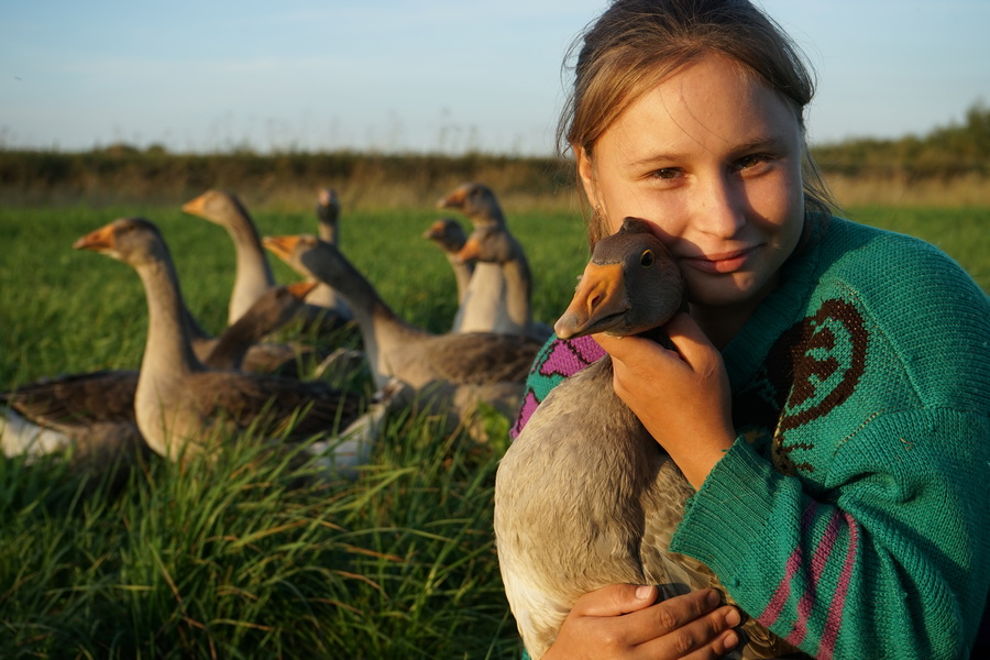 Девочка с гусем...