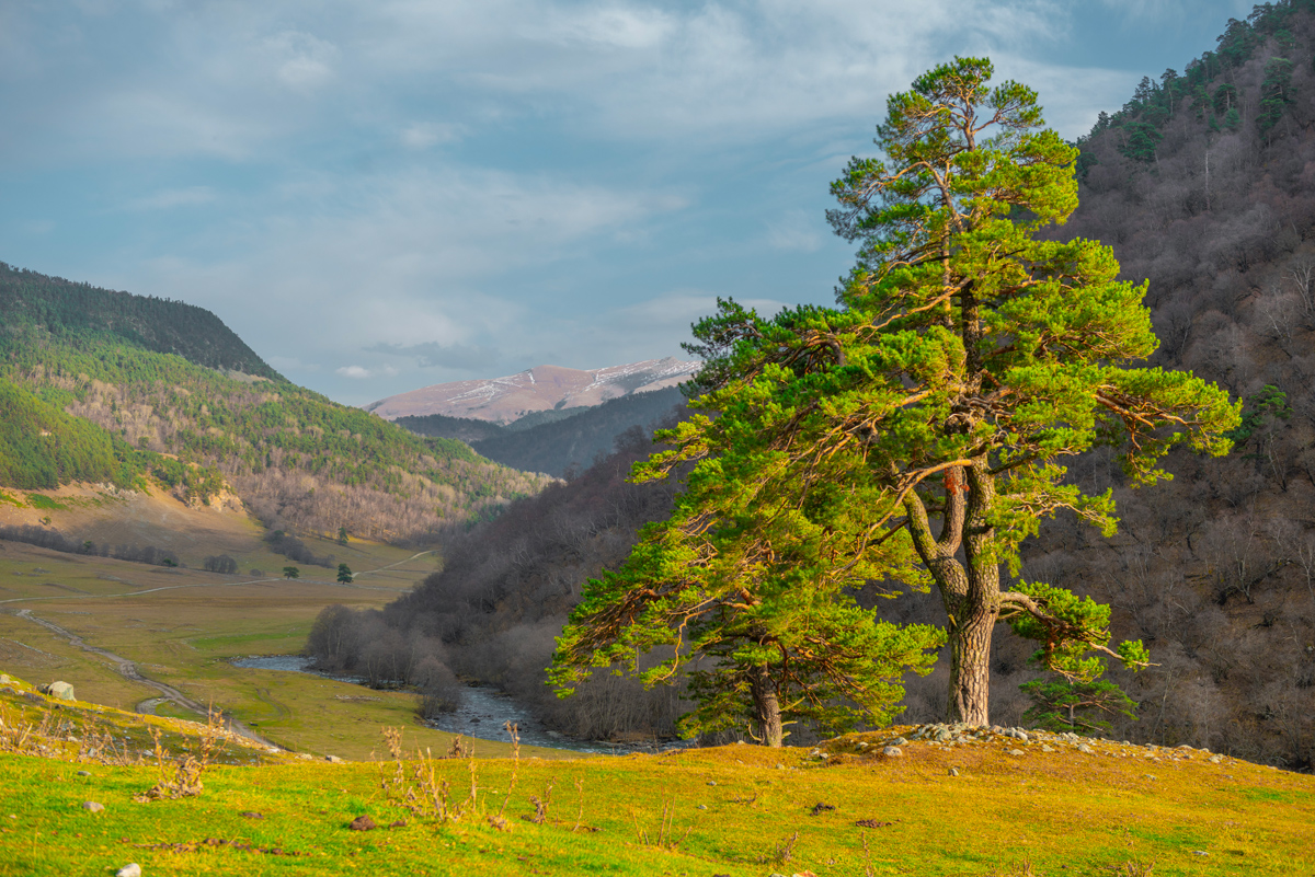 Долина реки Маруха. КЧР