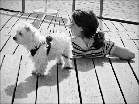 дама с собачкой