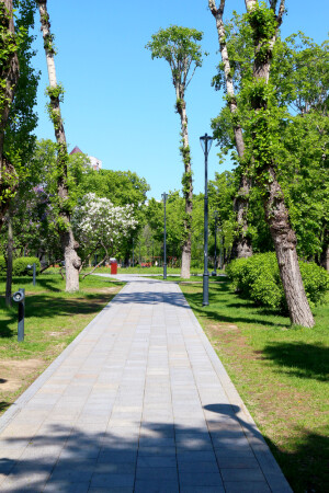 Парк Декабрьского восстания