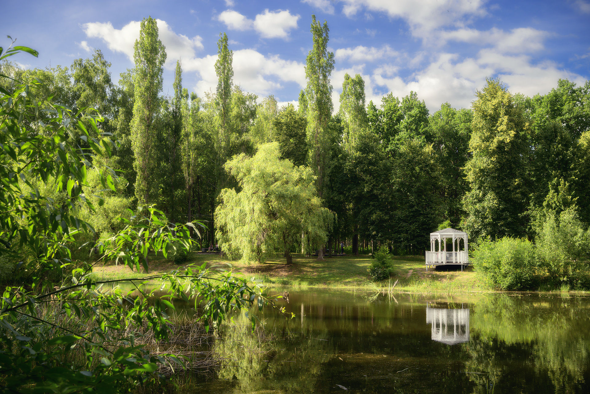 Есть в нашем парке чудный пруд...