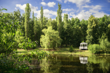 Есть в нашем парке чудный пруд...