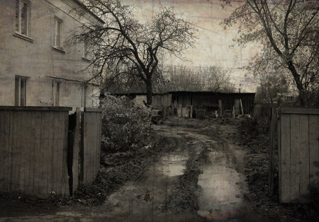 ноябрьский дворик