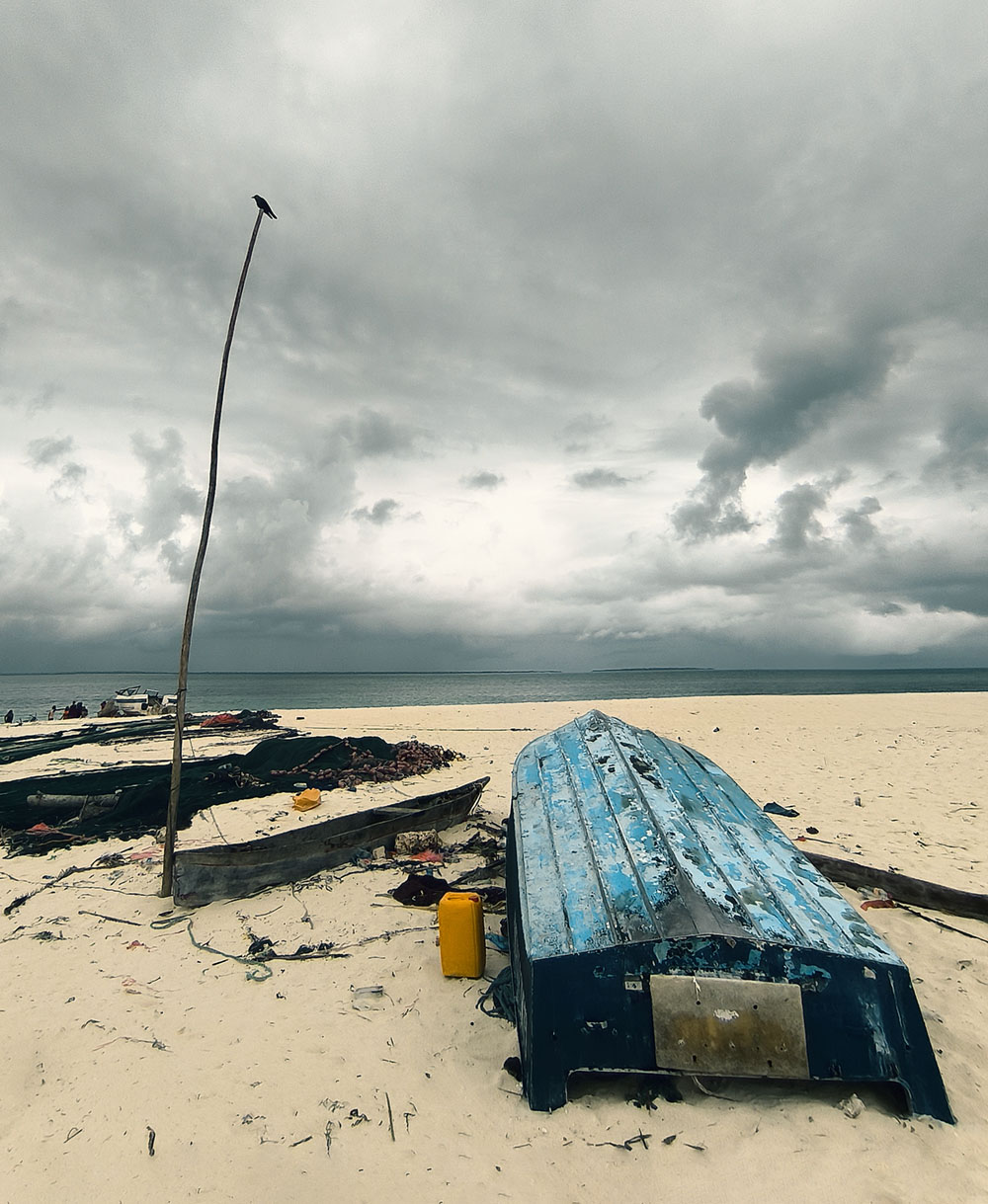 Где-то в Занзибаре...