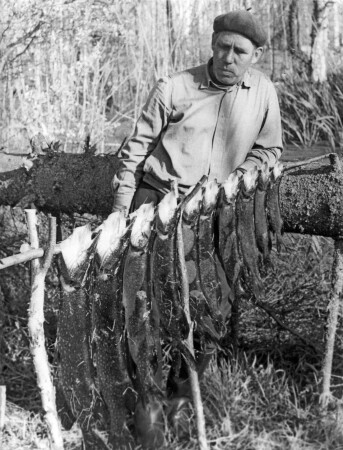 Рыбалка сегодня удалась