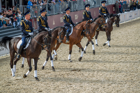 Грациозный аллюр