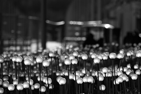 Когда завезли готовые бокехи