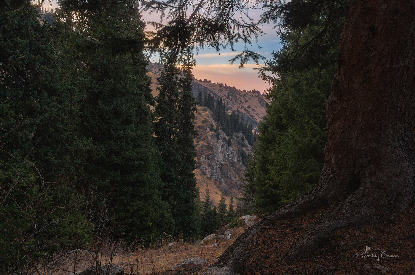 Всё выше и выше, горными тропами... 