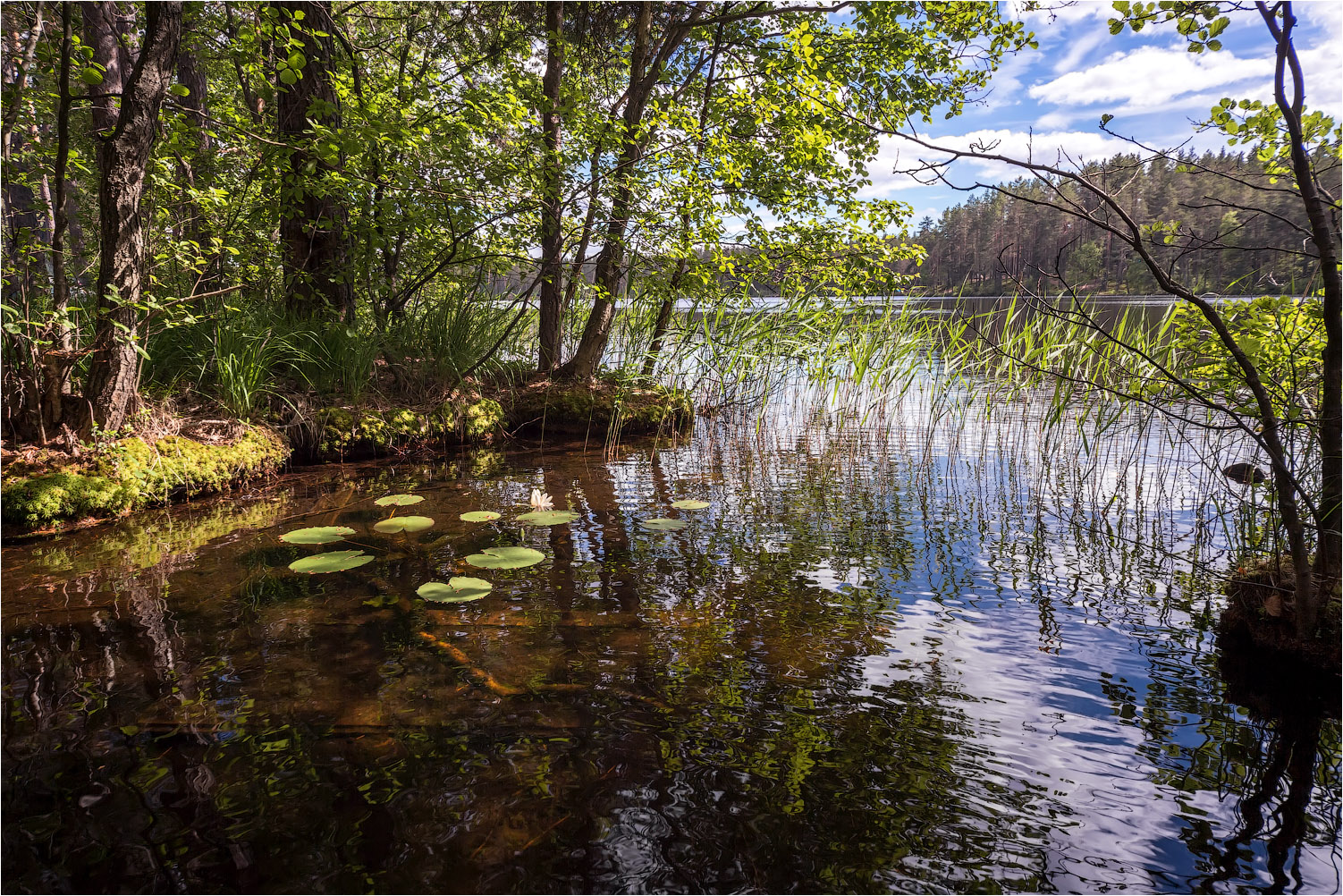 Тихая заводь