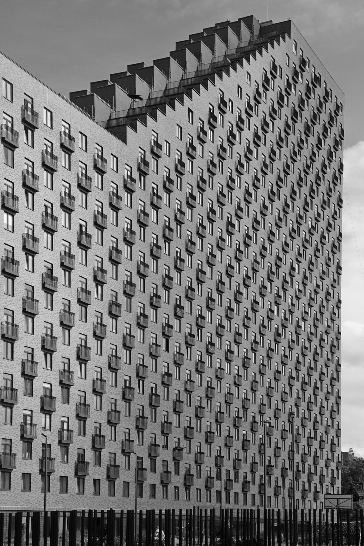 Человейник