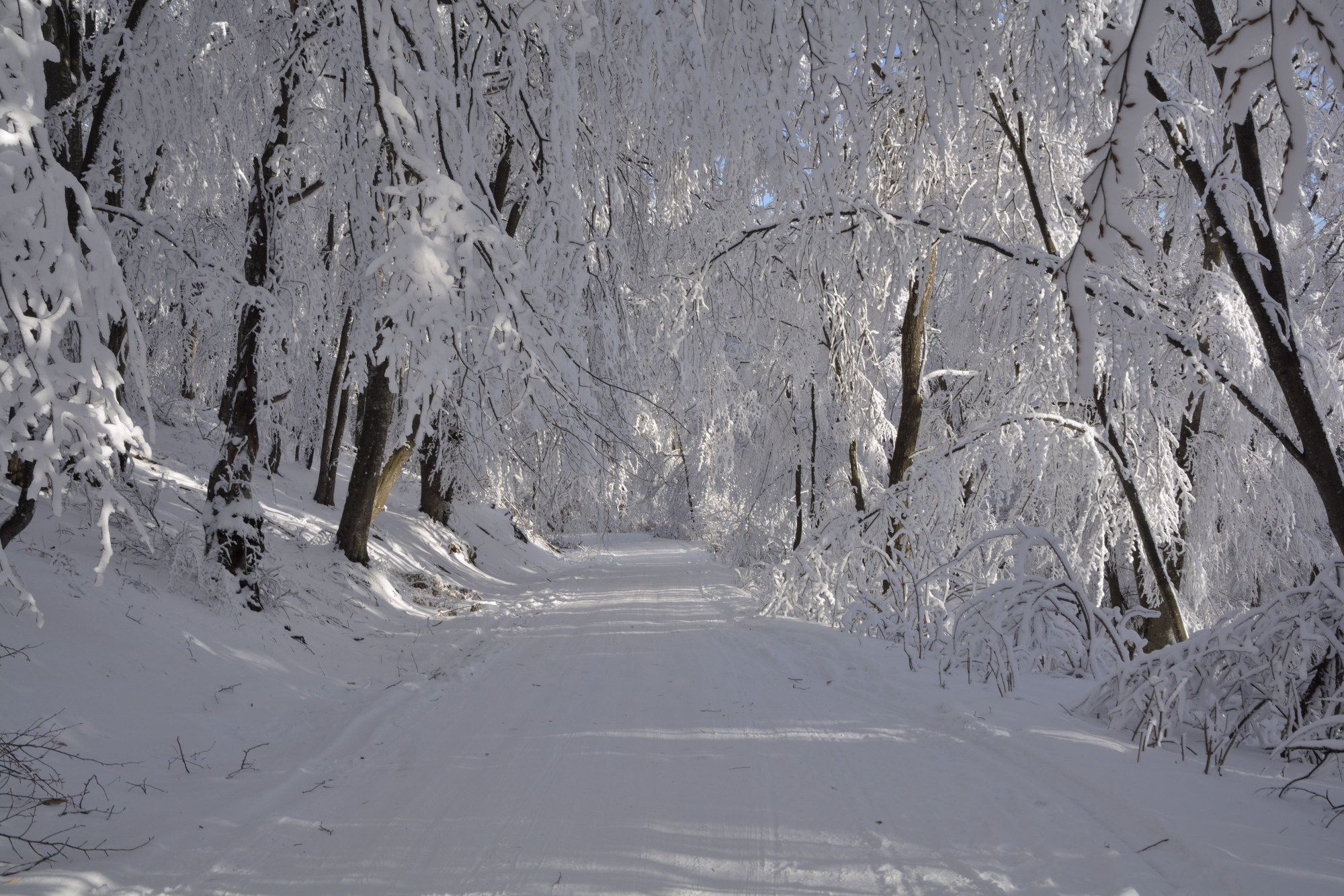 Зимняя красота