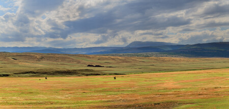Придорожные зарисовки