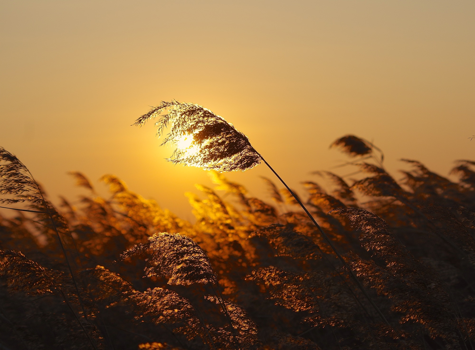 Осенний ветер