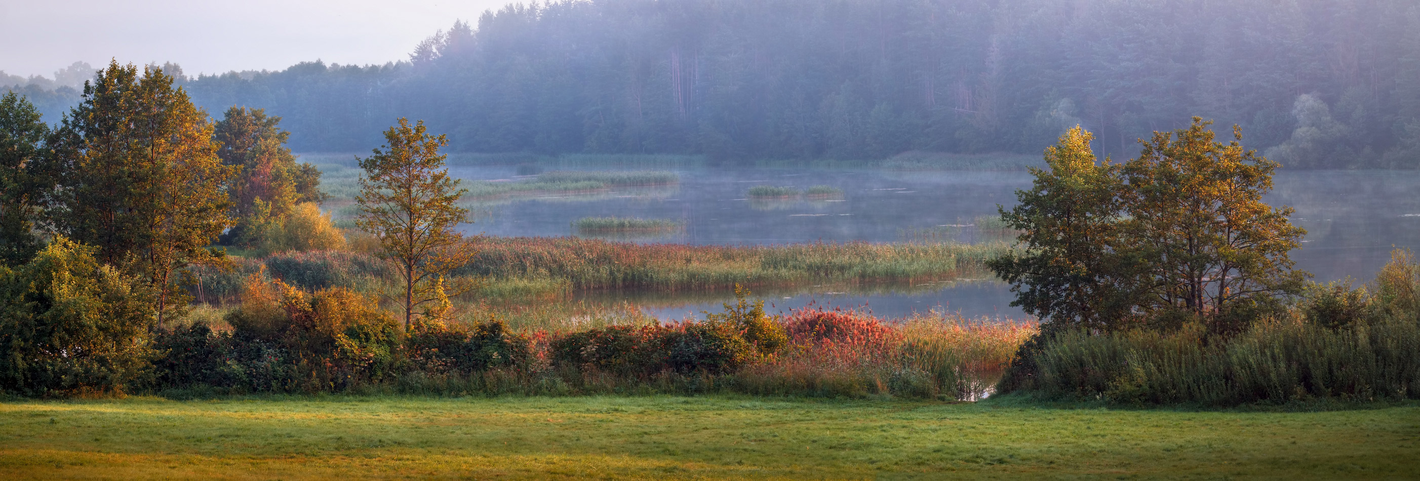 Аккорды летнего утра