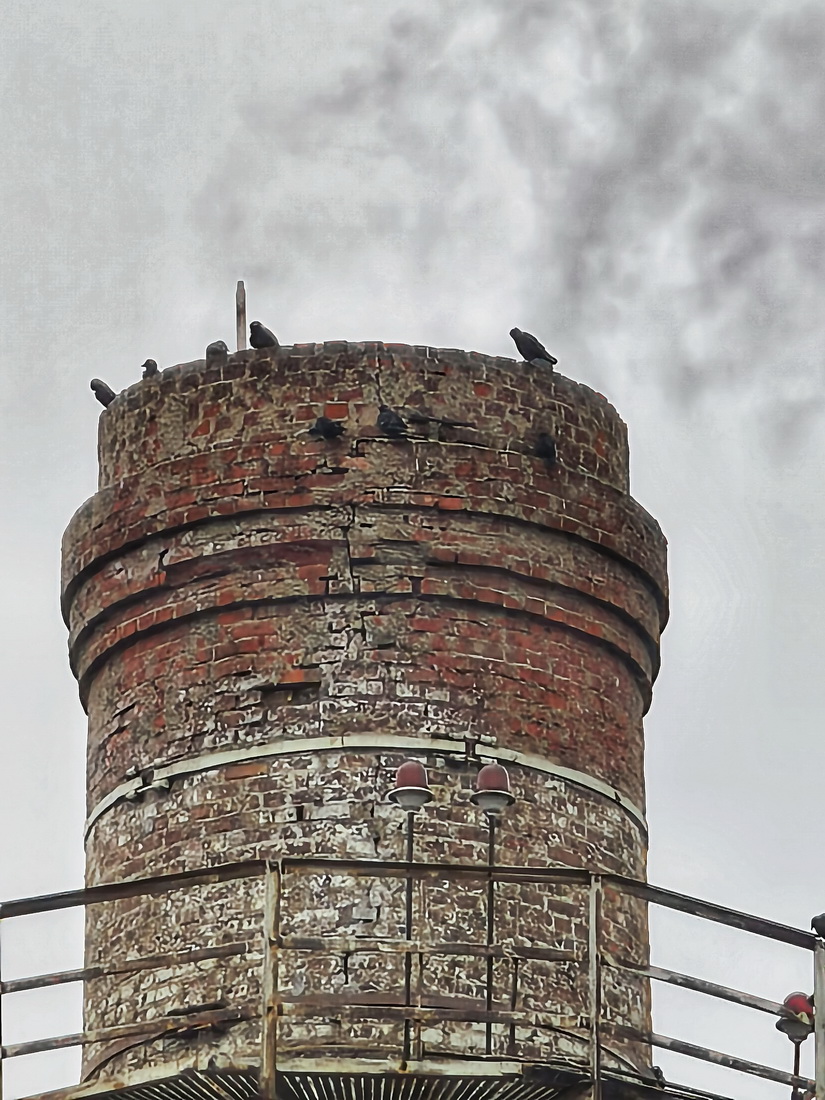 вороны-москвички греются в бане